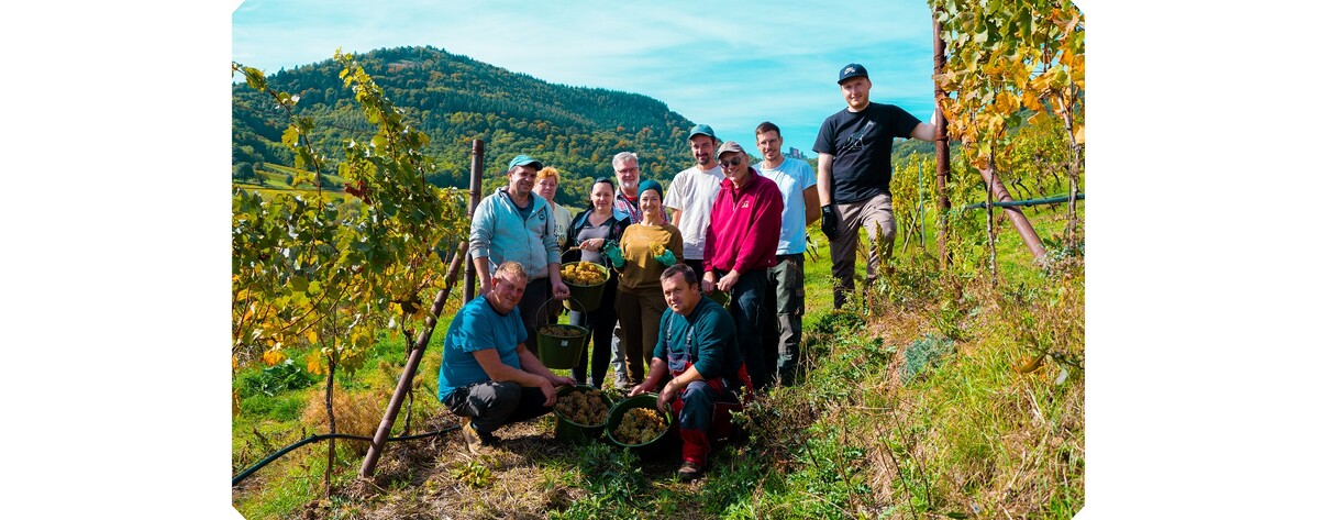 Bild - Herbst | © Weingut Scholler